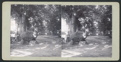 503047 Afbeelding van de zwerfkeien (dolmen) in de Dorpsstraat te Lage Vuursche (gemeente Baarn).